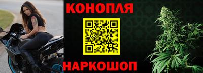 крисы Краснознаменск