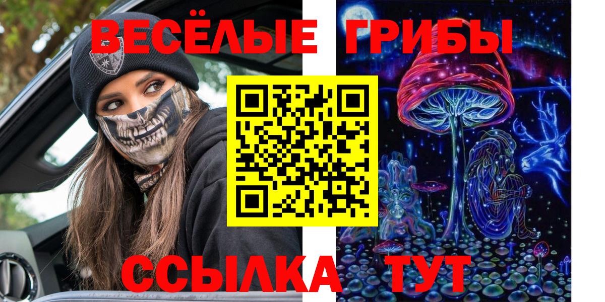 Дубна  Псилоцибиновые грибы прущие грибы  Вход с VPN 