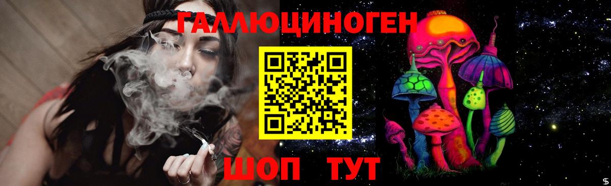 Галлюциногенные грибы Psilocybe Дубна